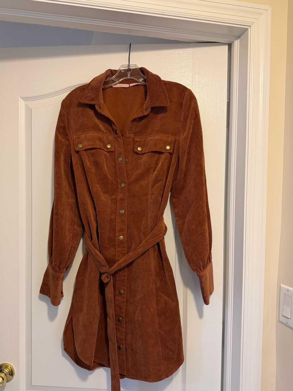 Urban Outfitters Rust Corduroy Button-Front Shirt Dress